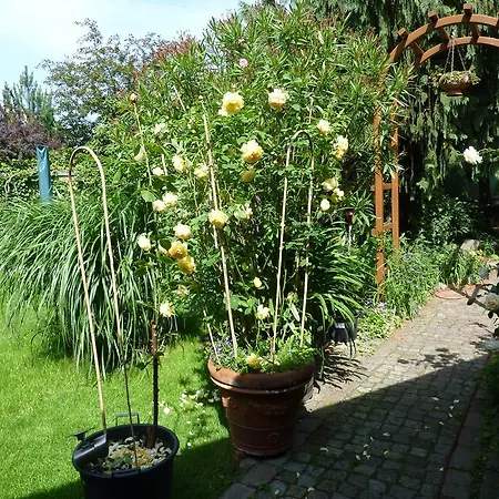 Ferienwohnung Friedrichshagen * برلين